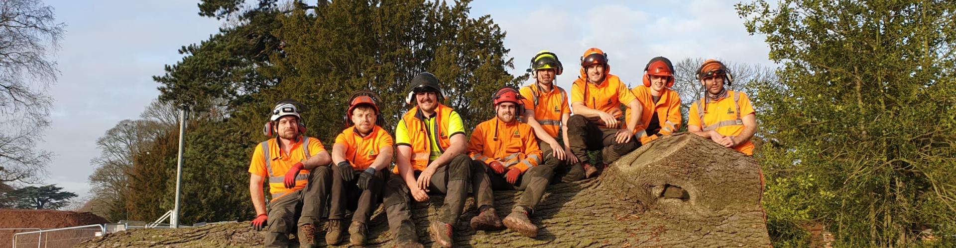 Reeves Tree Surgeons team - 20 fully qualified NPTC and Lantra certified arborists with 20+ years experience across Birmingham, Worcester, Solihull, and West Midlands