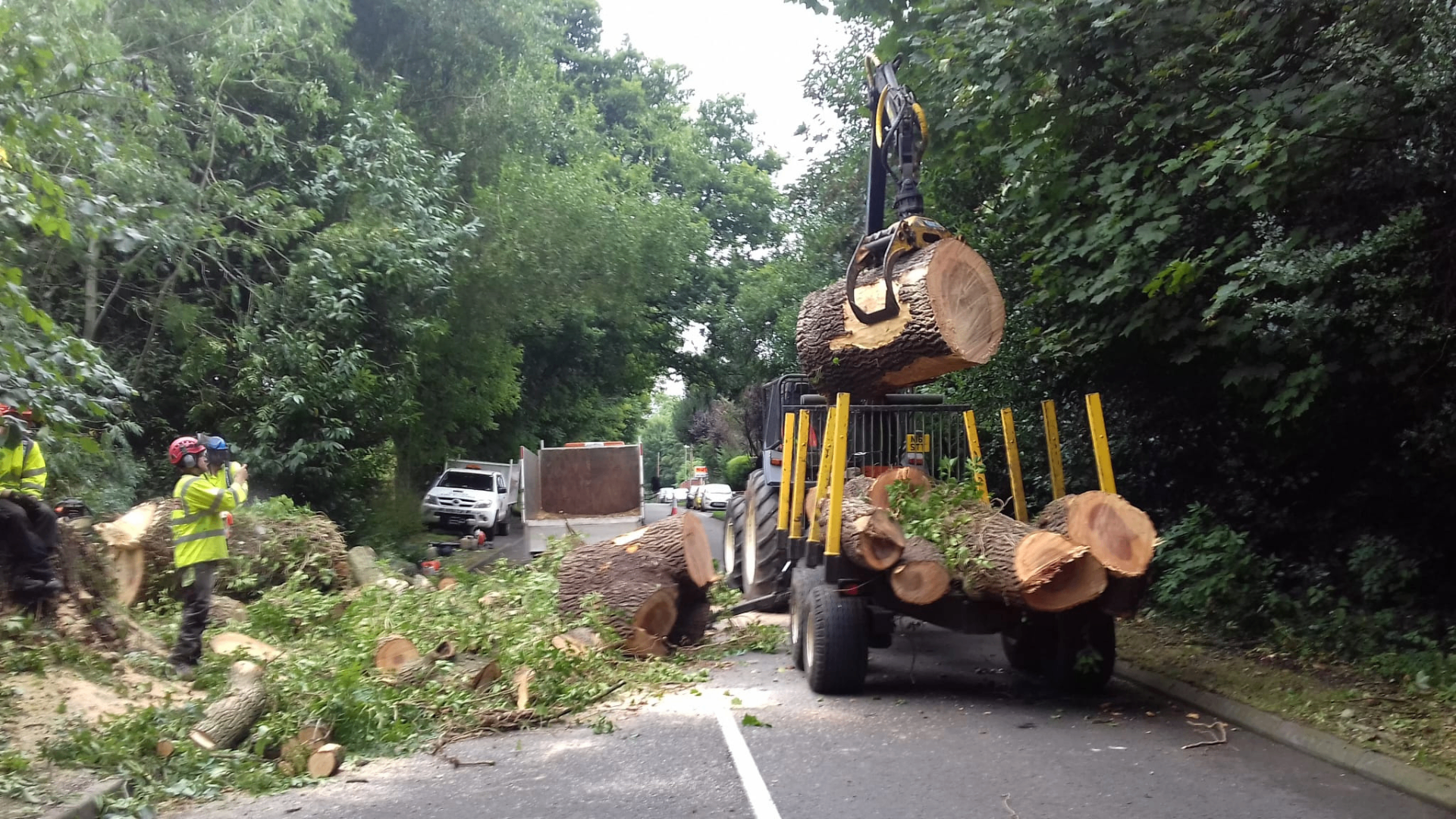 Professional tree surgeons and equipment in action at work site