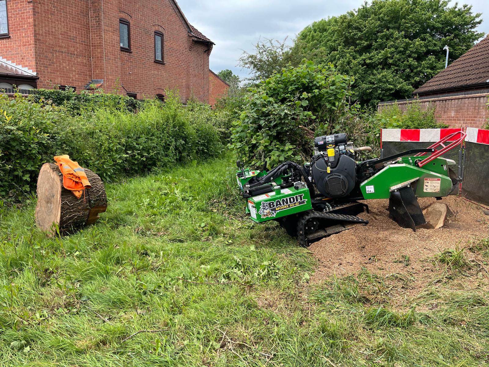 Professional Commercial Stump Grinding service in action