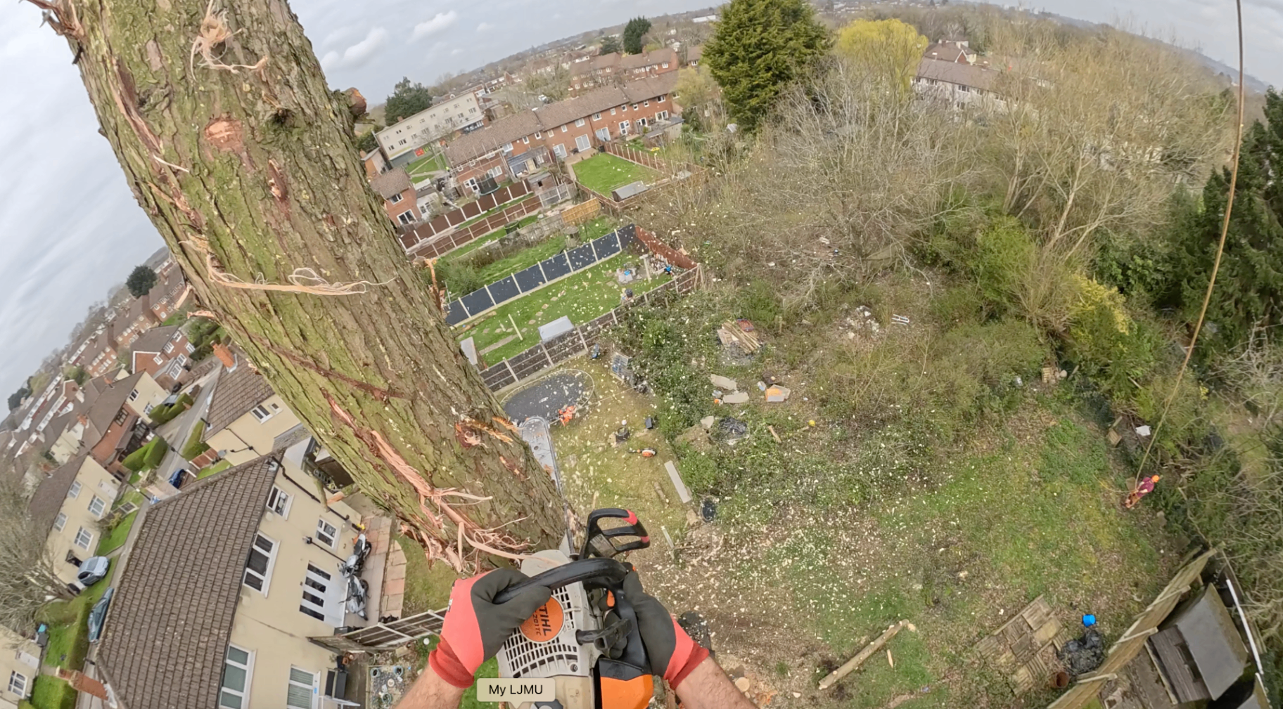 POV GoPro shot of arborist with Stihl chainsaw dismantling large tree at height overlooking residential gardens