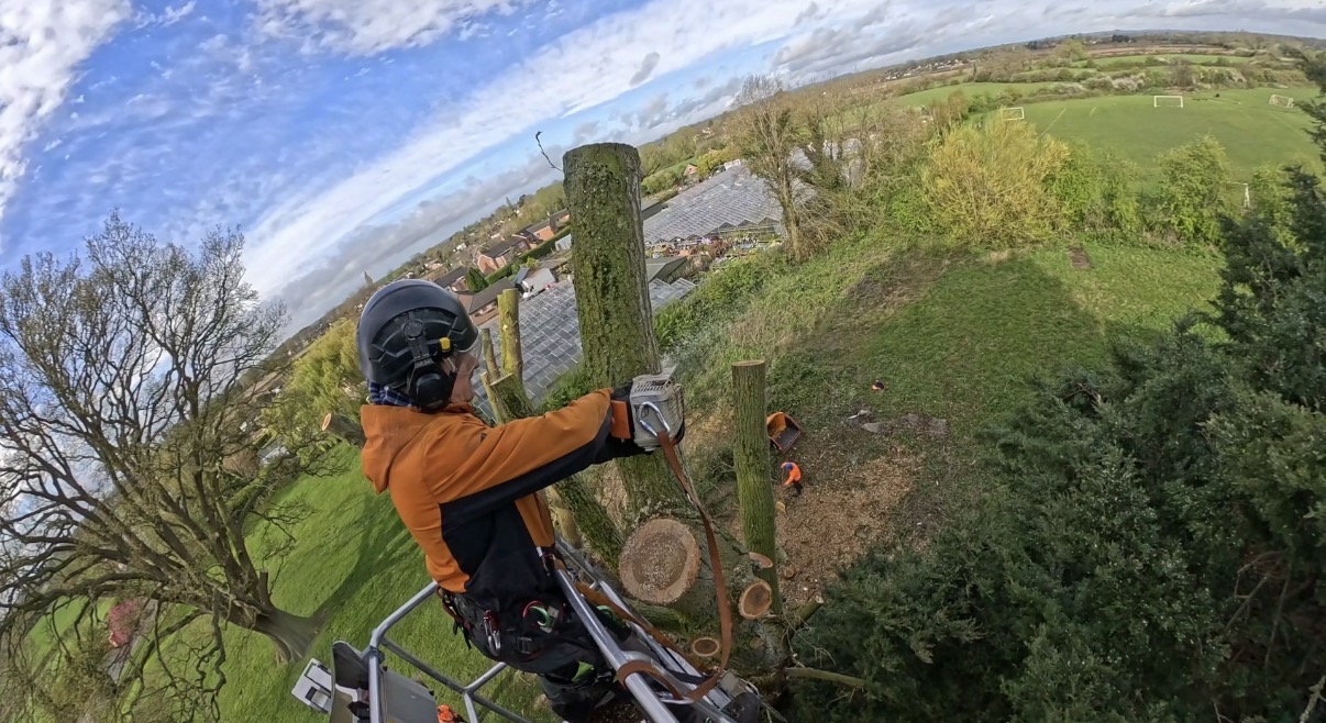 Climber's POV aerial view dismantling a tree section by section above a village with sports field in the distance