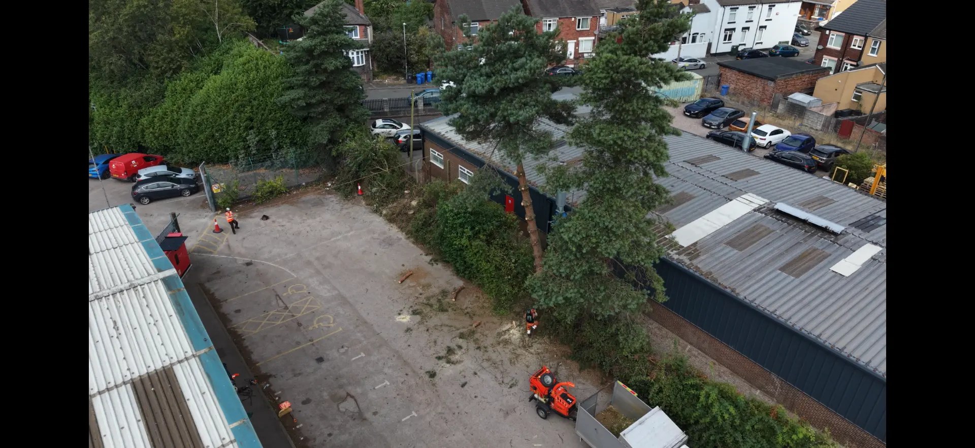 Aerial drone view of Reeves arborists dismantling a large pine tree in a commercial yard, with a tracked chipper, trailer and banksman in orange PPE below