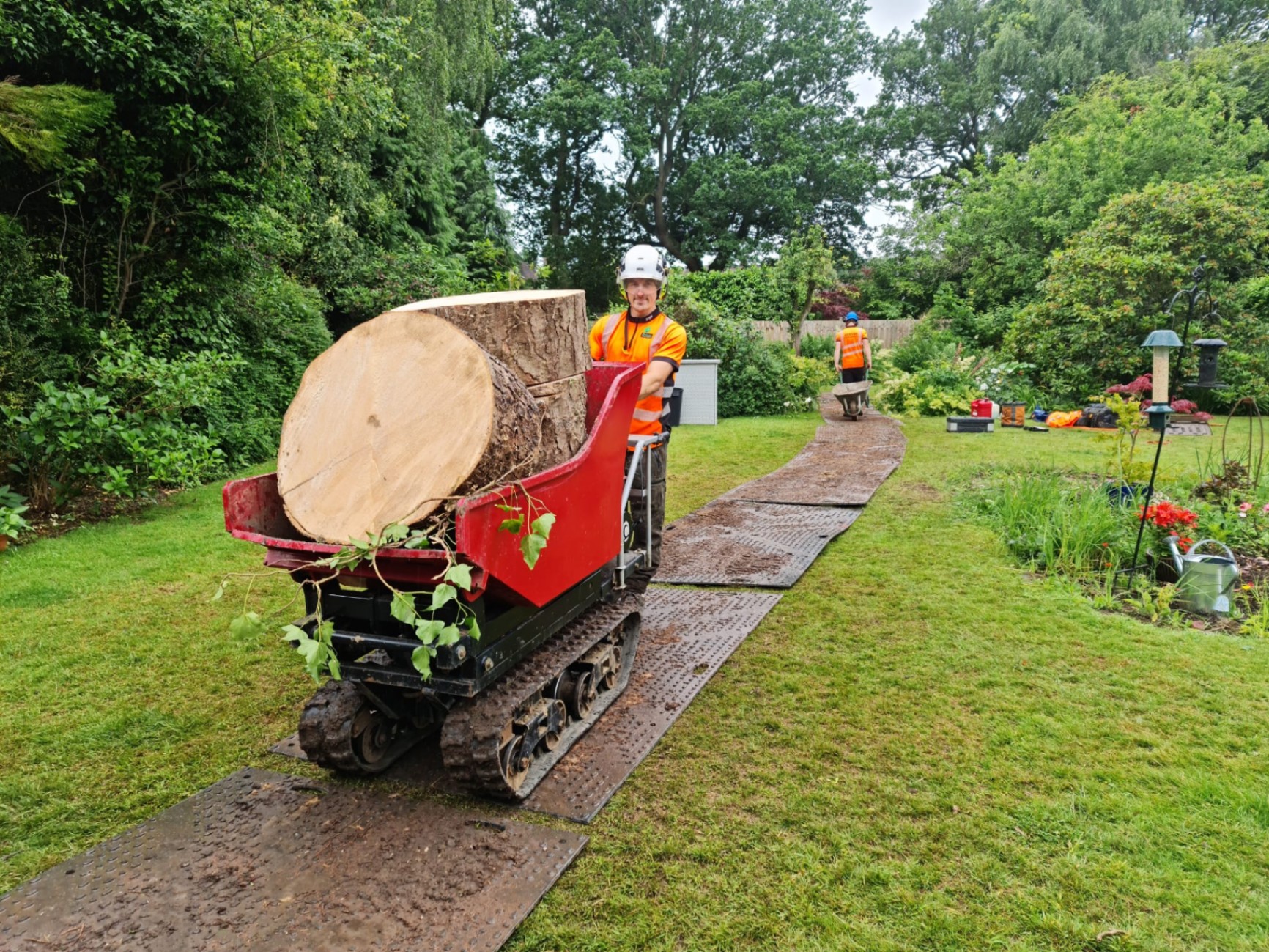 Specialized tree removal equipment transporting large timber sections on tracked machinery