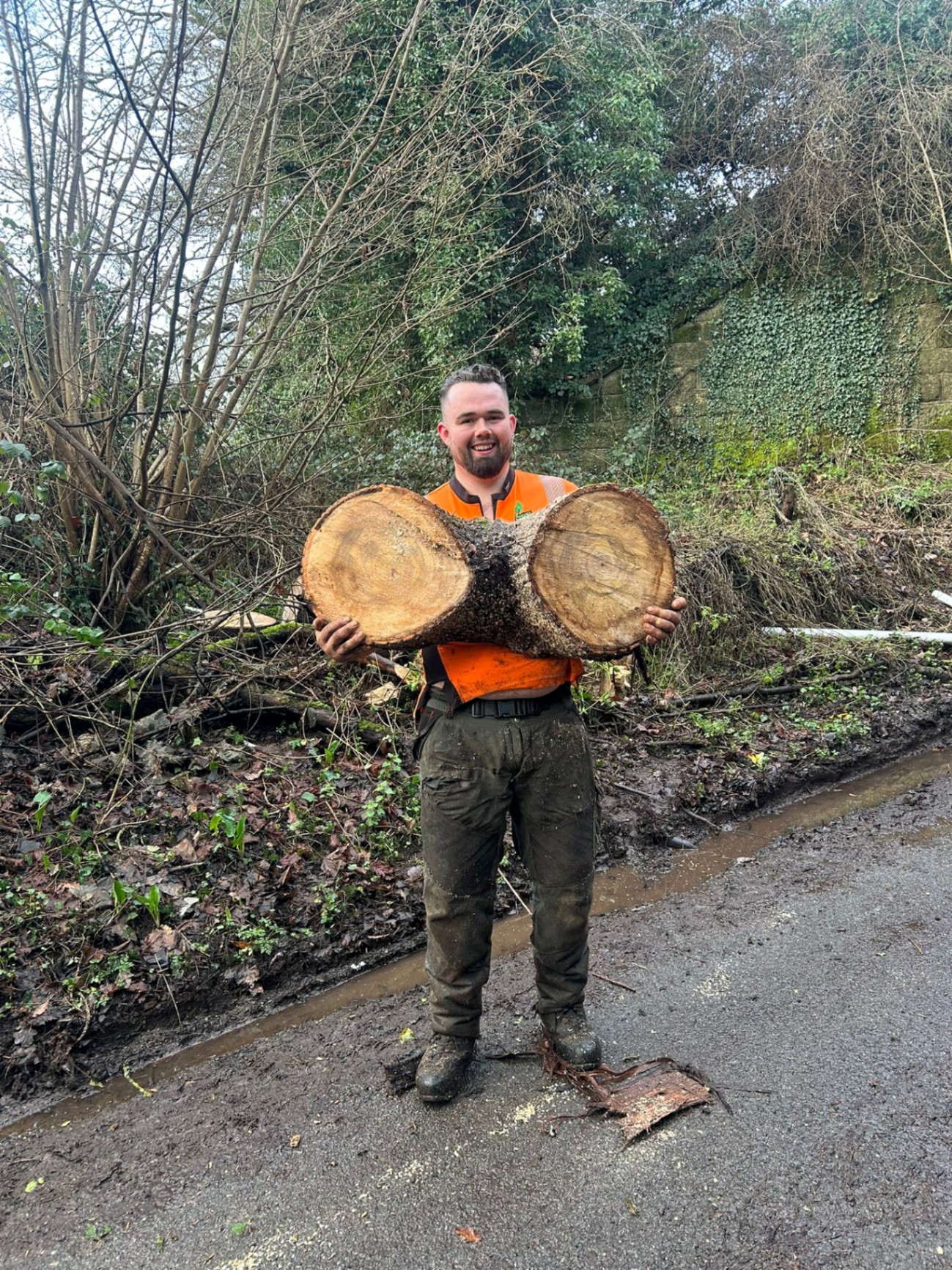 Reeves tree surgeon carrying large cut log sections after tree felling with hi-vis safety gear