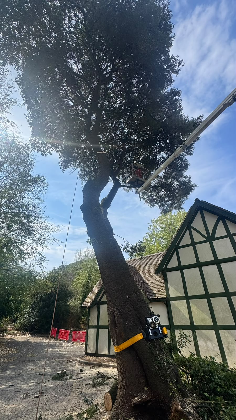Reeves arborist working from a MEWP cherry picker high in the canopy of a large tree beside a Tudor-style building