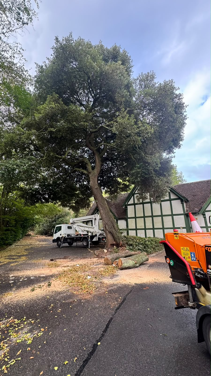 Reeves tree surgery team with a MEWP cherry picker and wood chipper preparing to dismantle a large tree beside a Tudor-style property