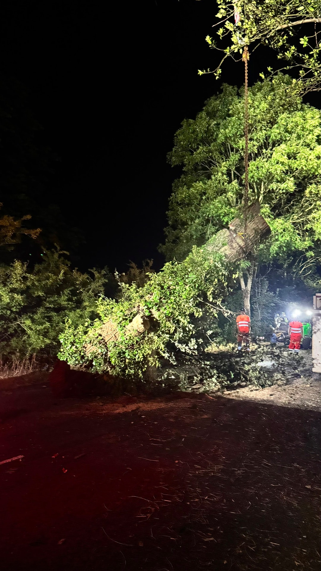 Nighttime crane-assisted tree dismantle operation with crew in orange PPE guiding a large tree section lowered by rigging lines