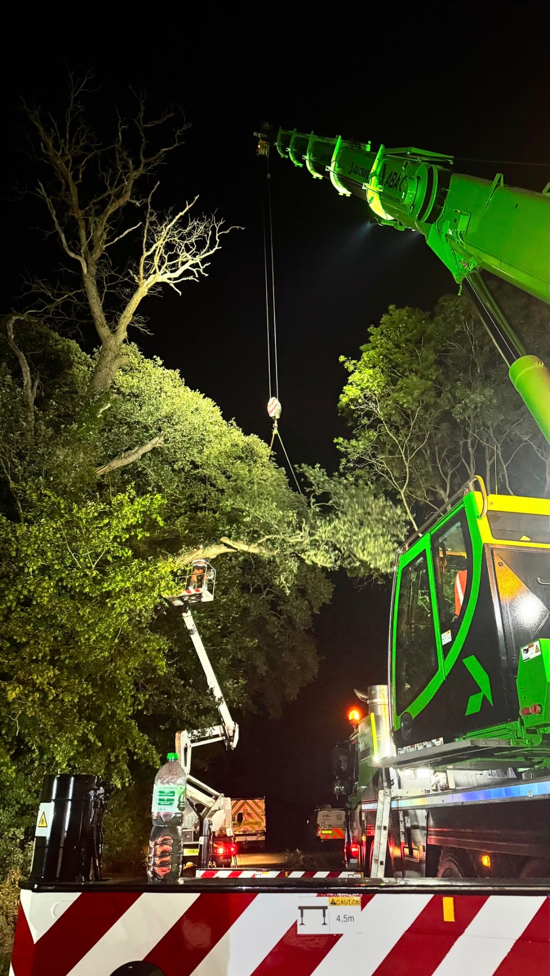 Nighttime crane lift removing a large tree section, with a green ABA Cranes mobile crane, arborist in a MEWP basket, and ground crew in high-visibility PPE