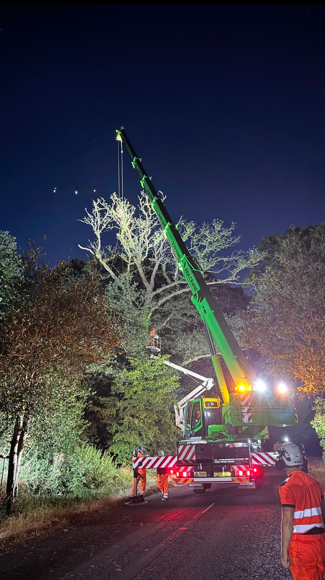 Nighttime tree dismantle operation with a green ABA Cranes mobile crane lifting an arborist in a MEWP basket, crew in orange PPE managing the roadside site