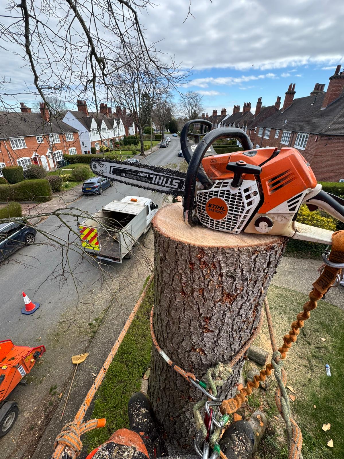 Aerial tree dismantling with Stihl MS 500i chainsaw on large trunk section in residential street