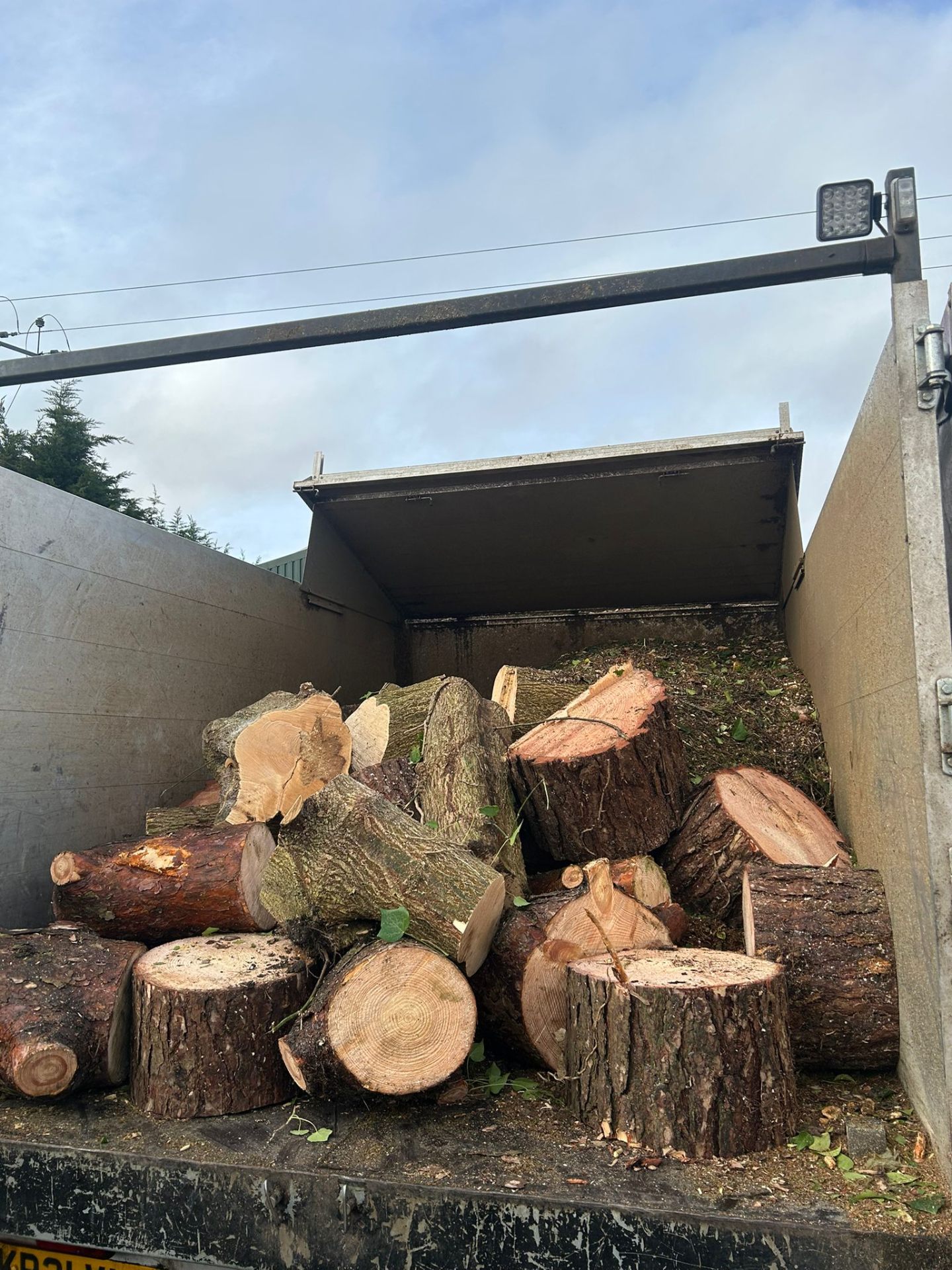 Truck loaded with freshly cut timber logs from professional tree removal and clearance operation
