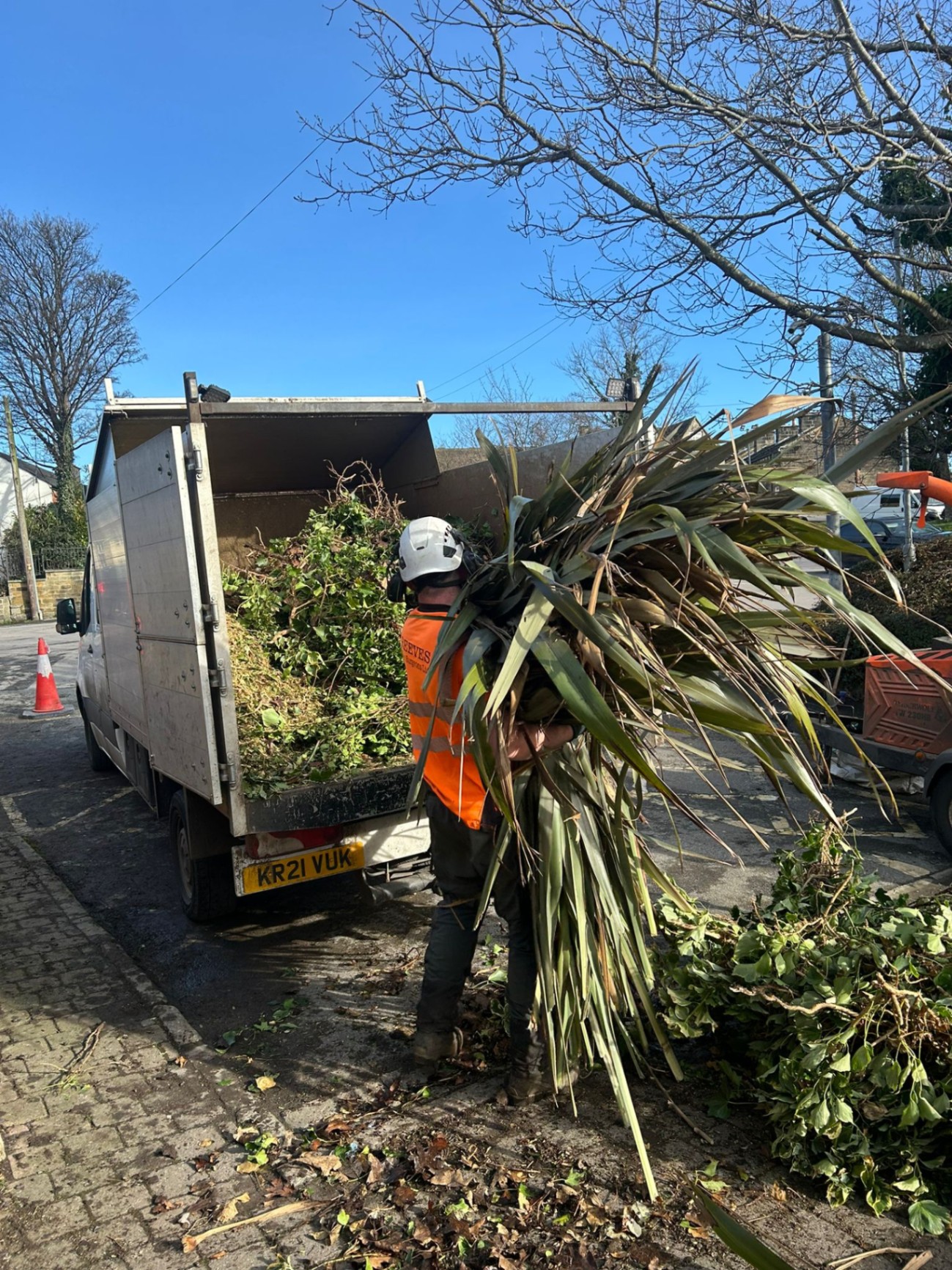 Reeves tree surgeon in hi-vis loading palm and vegetation debris into van during commercial tree clearance