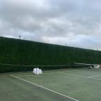 Tennis Court Hedge